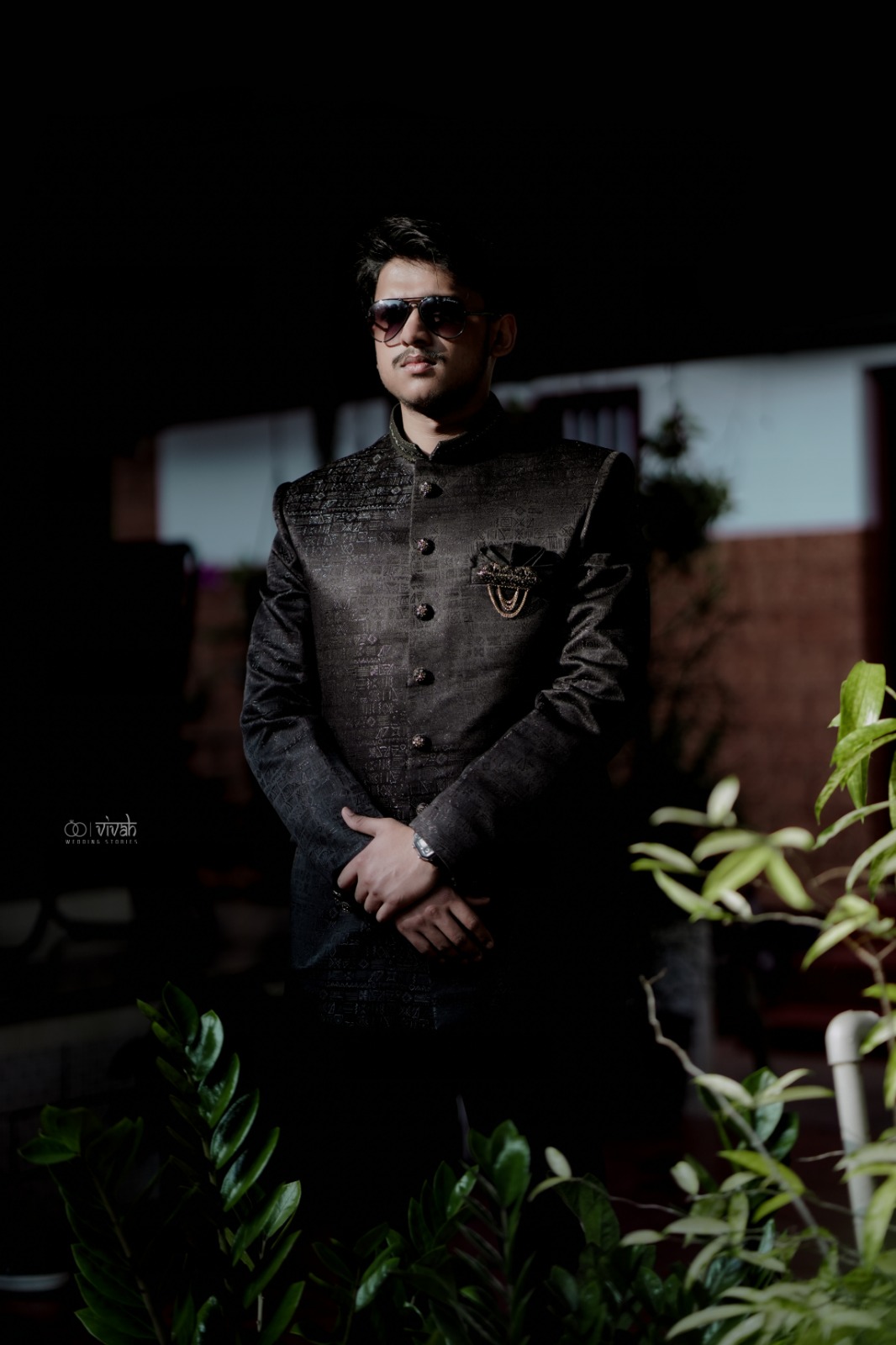 a forest after an apocalypse